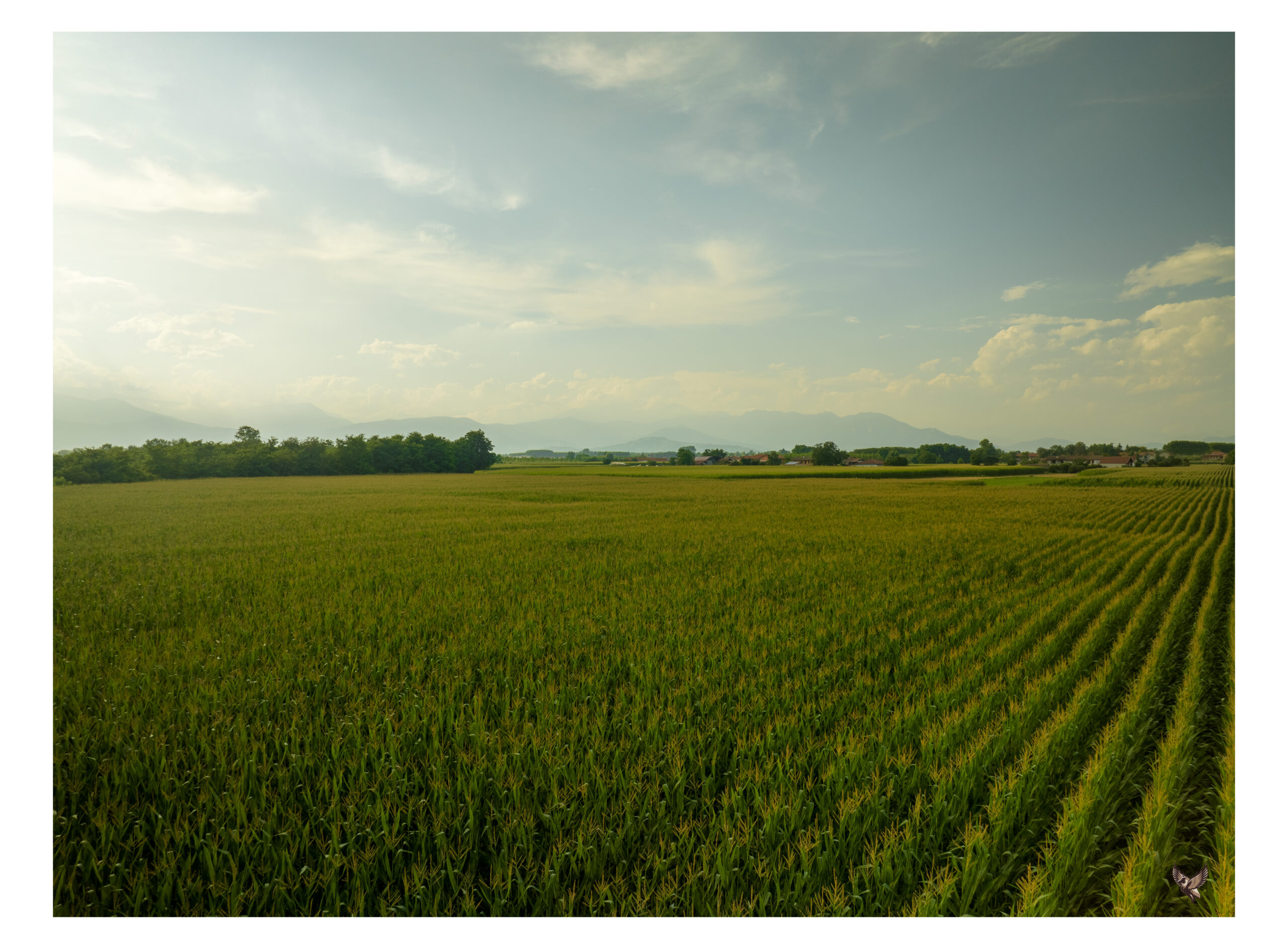 DJI_0188-HDR-2-Edit